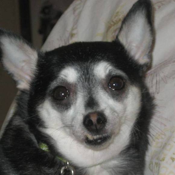 Meet your Posher, Bonnie lynn - Picture 1 of 1